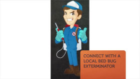 US Bed Bug Exterminator in Fort Worth, TX by US Bed Bug Exterminator
